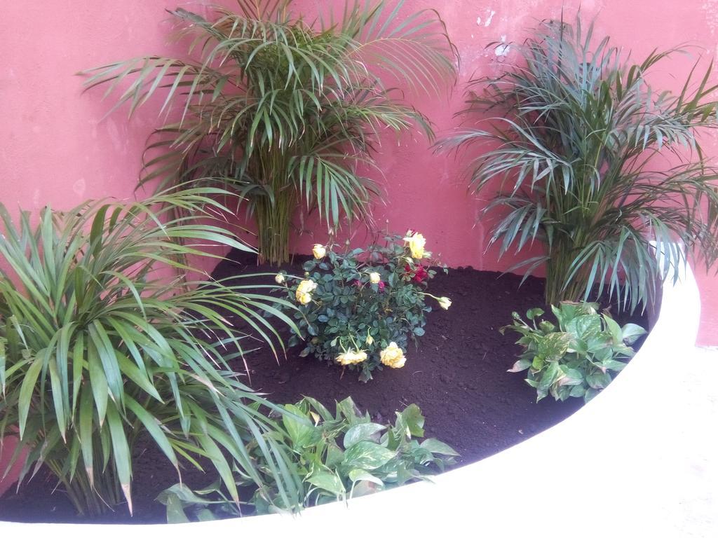 Casa Mazejuwi Hotel Campeche Ngoại thất bức ảnh